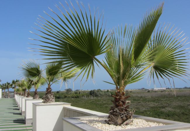Ferienwohnung in Guardamar - Casa Nala Ferienwohnung in Guardamar - Casa Nala