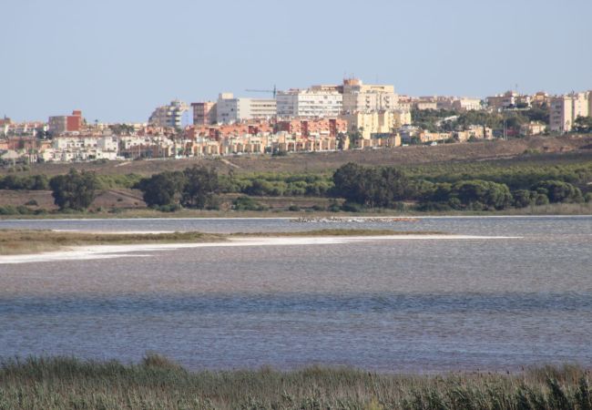 Ferienwohnung in Guardamar - Casa Louna Ferienwohnung in Guardamar - Casa Louna