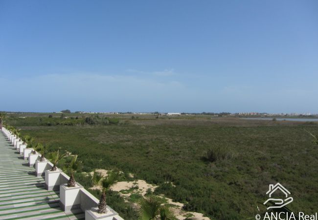 Apartment in Guardamar - Casa Louna Apartment in Guardamar - Casa Louna
