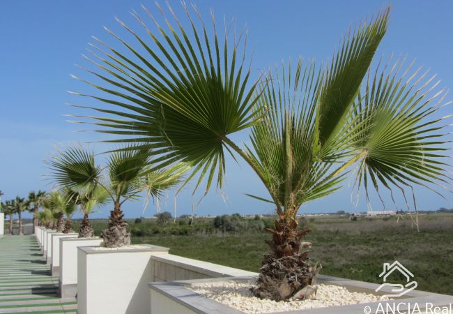 Apartment in Guardamar - Casa Louna Apartment in Guardamar - Casa Louna