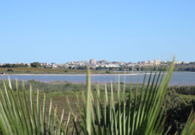 Apartment in Guardamar - Casa Louna Apartment in Guardamar - Casa Louna