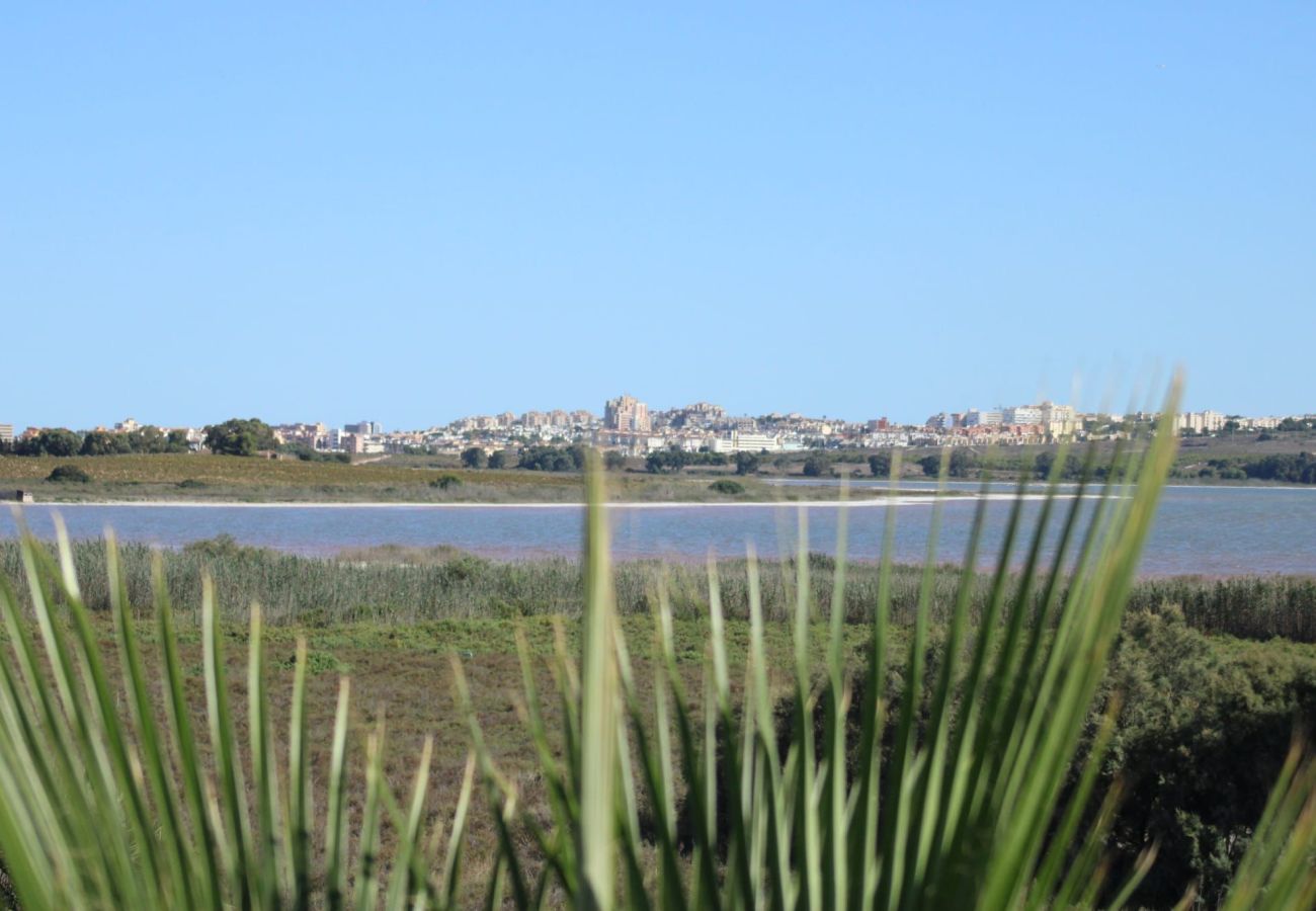 Apartment in Guardamar - Casa Louna