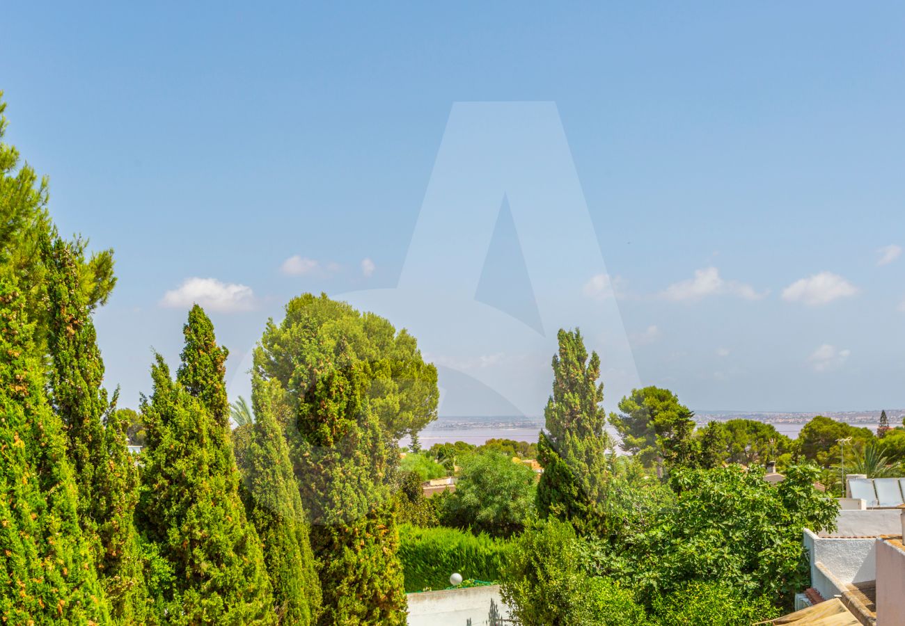 House in Torrevieja - Villa Sonrisa