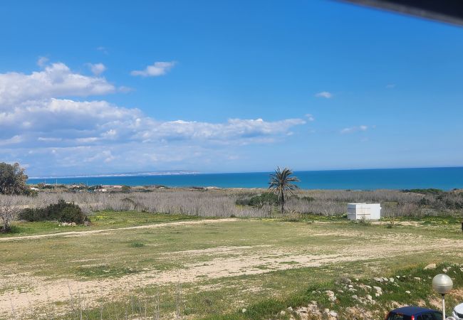 House in Guardamar - Casa Campomar House in Guardamar - Casa Campomar