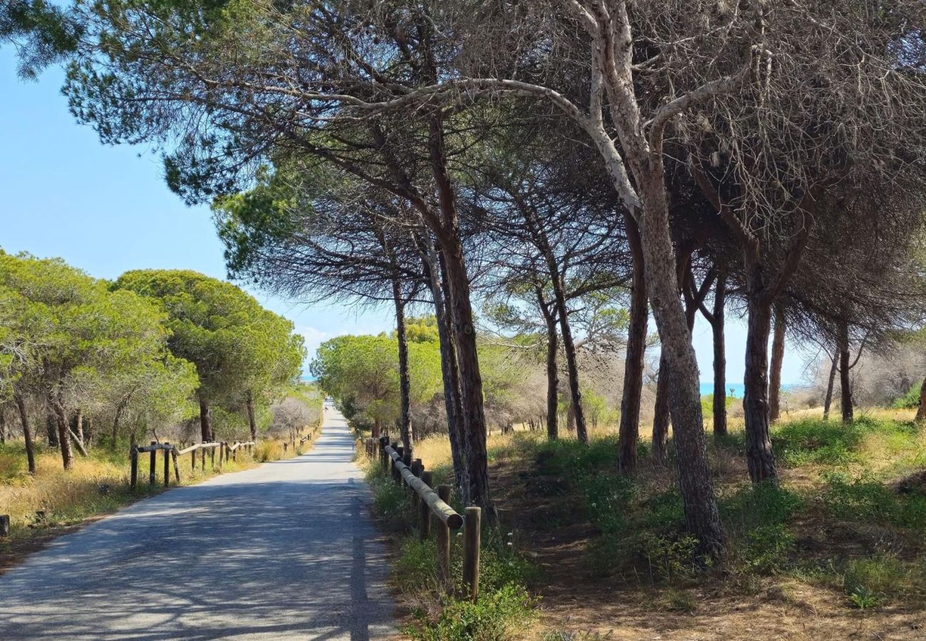 Apartamento en Guardamar - Casa Del Campo