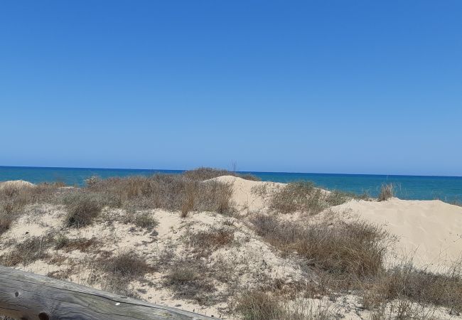 Appartement in Guardamar - Marydunas Appartement in Guardamar - Marydunas