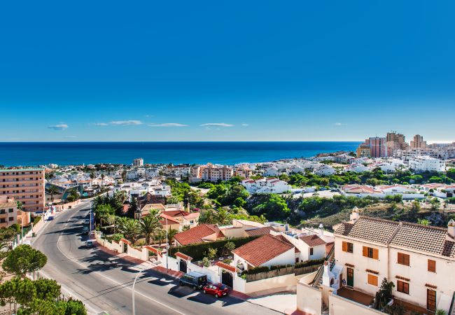 Appartement in Torrevieja - Cozy Beach Flat Appartement in Torrevieja - Cozy Beach Flat